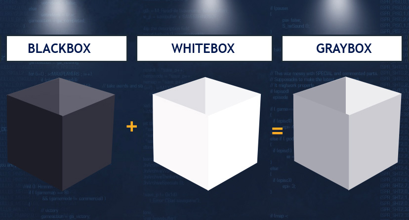 Sızma Testi Kavramları - Blackbox - Whitebox - Graybox-penetrasyon-Testi Hizmeti - Pentest